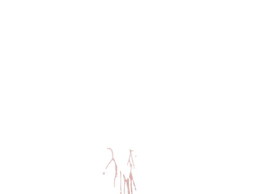 ゆうかちらばた大洋会のかけら-