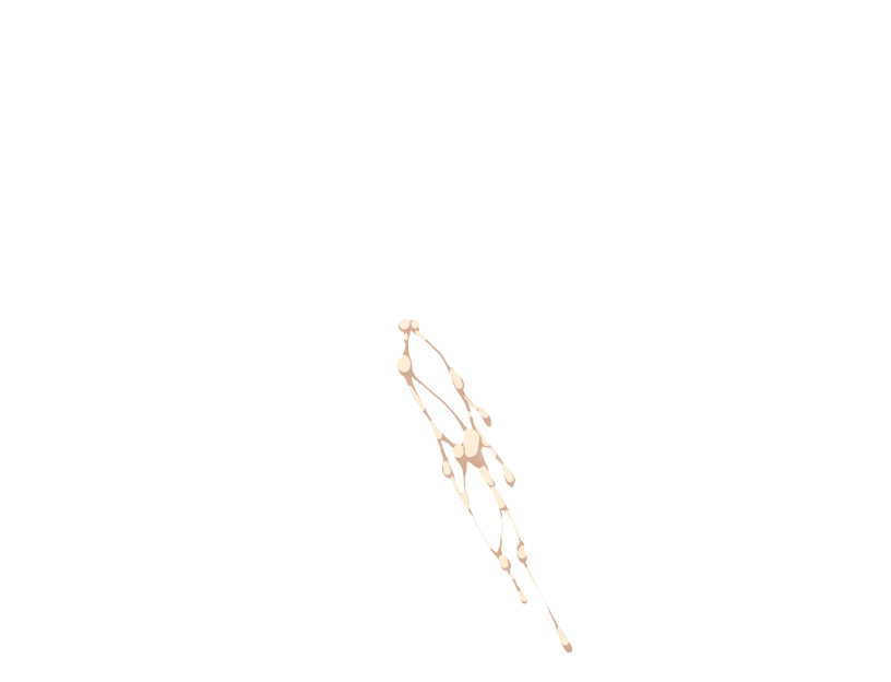 ゆうかちらばた大洋会のかけら-