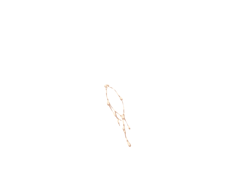 ゆうかちらばた大洋会のかけら-