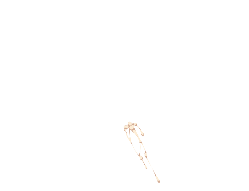 ゆうかちらばた大洋会のかけら-