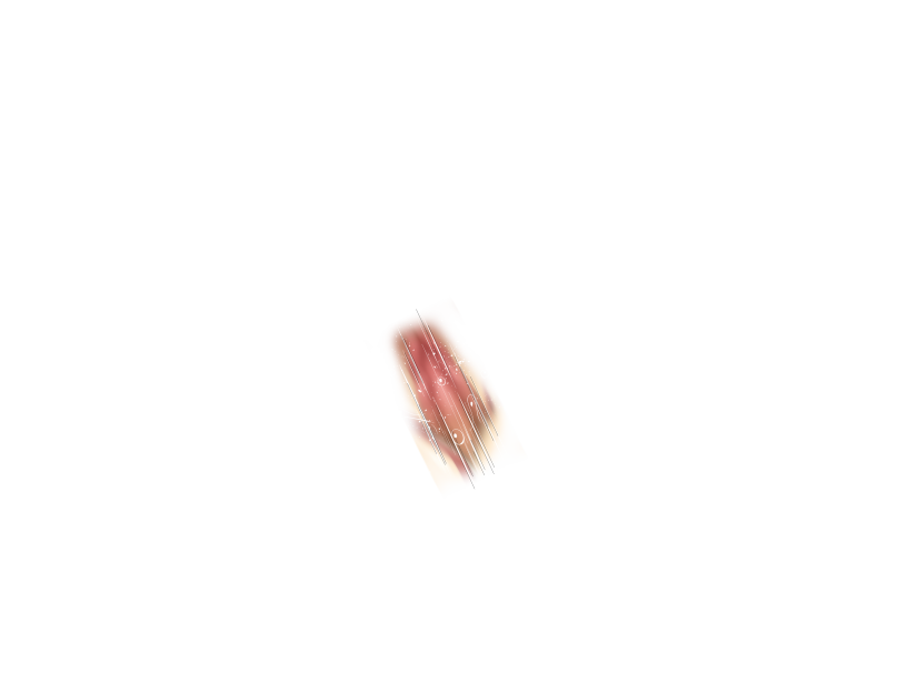 ゆうかちらばた大洋会のかけら-