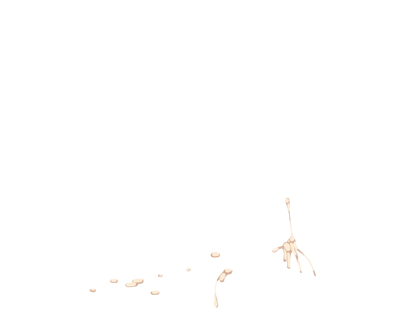 ゆうかちらばた大洋会のかけら-