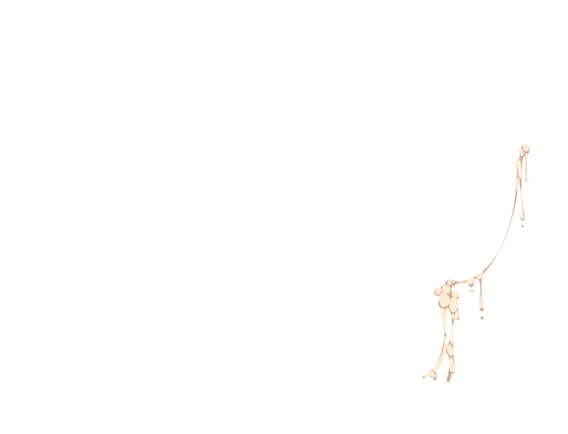 ゆうかちらばた大洋会のかけら-