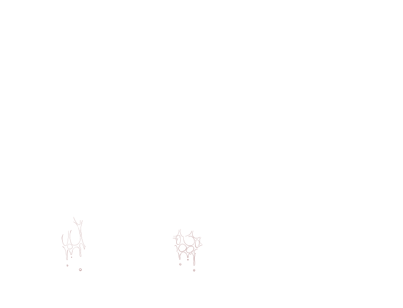 ゆうかちらばた大洋会のかけら-