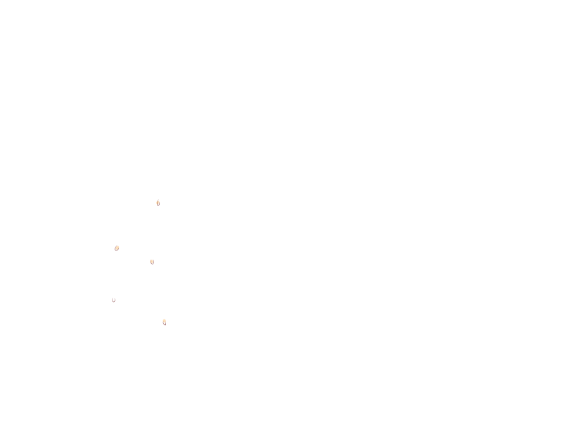 ゆうかちらばた大洋会のかけら-