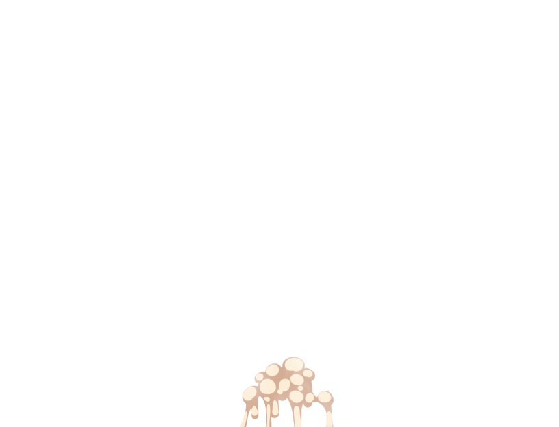 ゆうかちらばた大洋会のかけら-