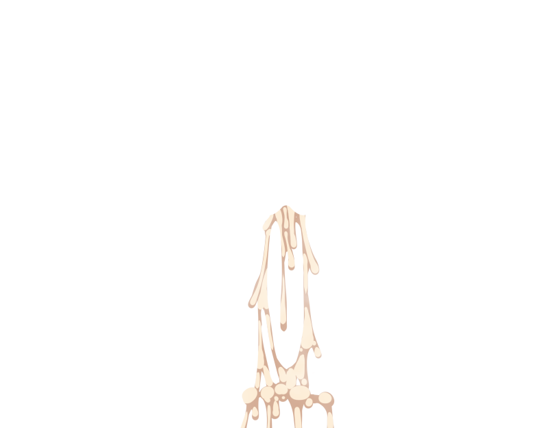 ゆうかちらばた大洋会のかけら-