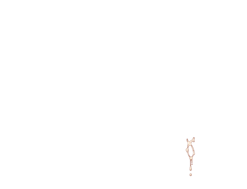 ゆうかちらばた大洋会のかけら-