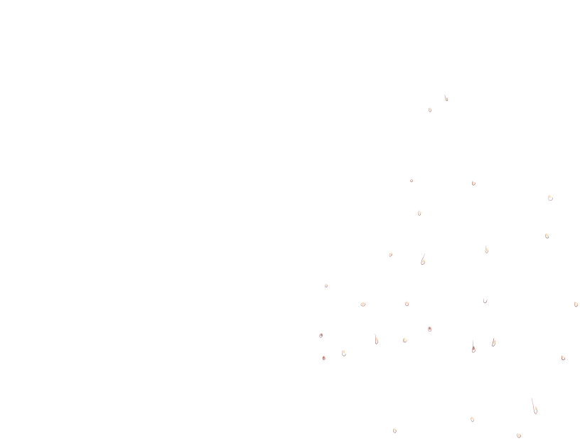 ゆうかちらばた大洋会のかけら-