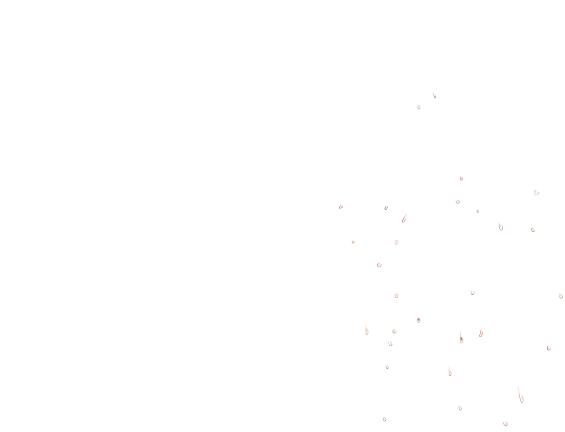 ゆうかちらばた大洋会のかけら-