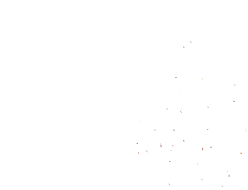 ゆうかちらばた大洋会のかけら-