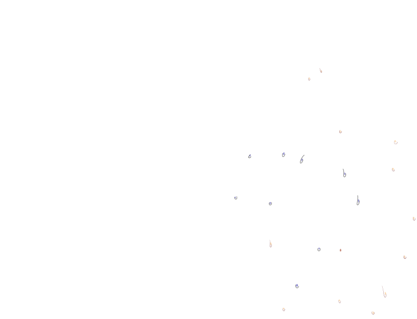 ゆうかちらばた大洋会のかけら-