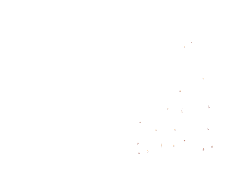 ゆうかちらばた大洋会のかけら-