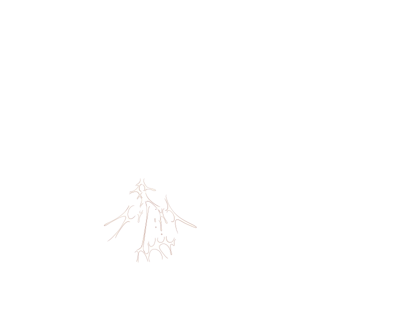 ゆうかちらばた大洋会のかけら-