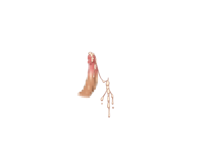 ゆうかちらばた大洋会のかけら-