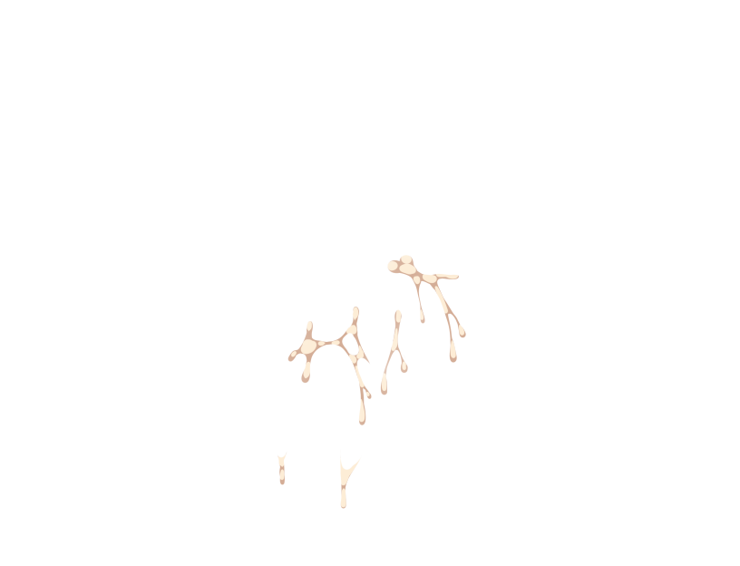 ゆうかちらばた大洋会のかけら-