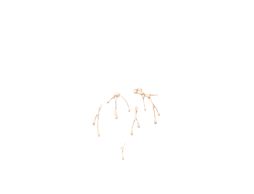 ゆうかちらばた大洋会のかけら-