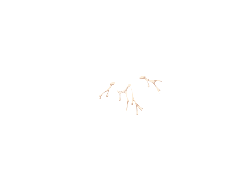 ゆうかちらばた大洋会のかけら-