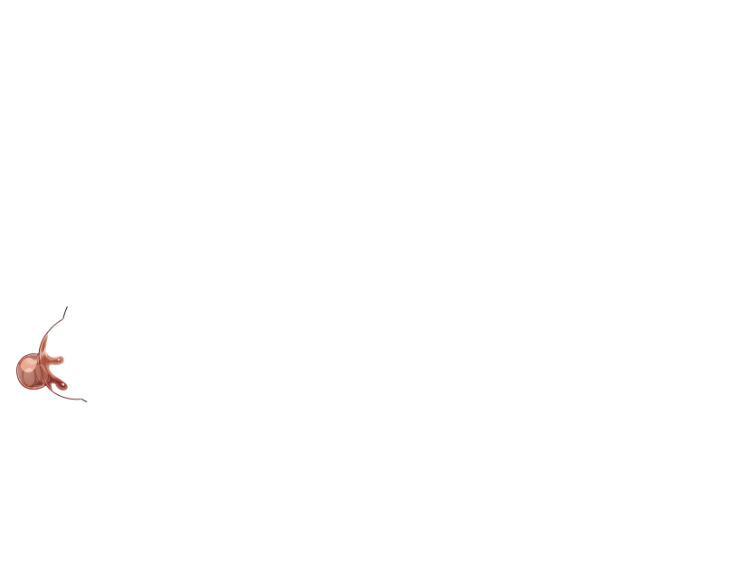 ゆうかちらばた大洋会のかけら-