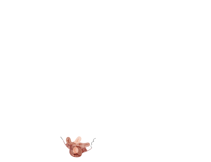 ゆうかちらばた大洋会のかけら-