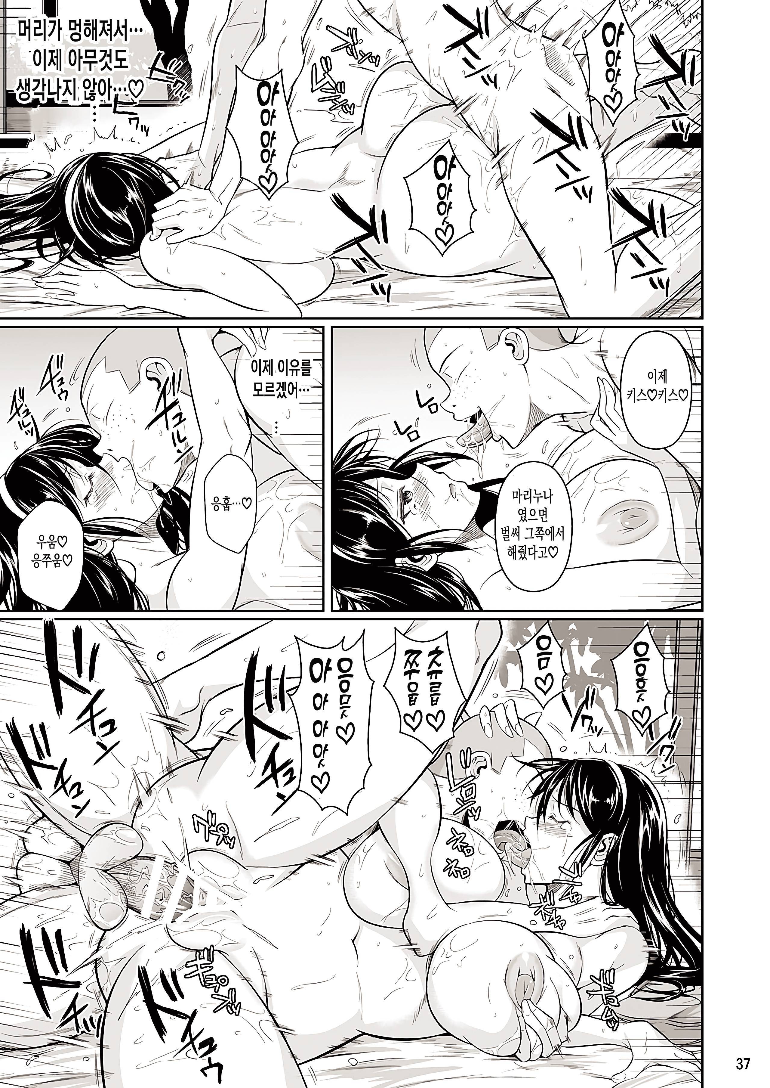 冬中花踪| 동충화초シリーズ