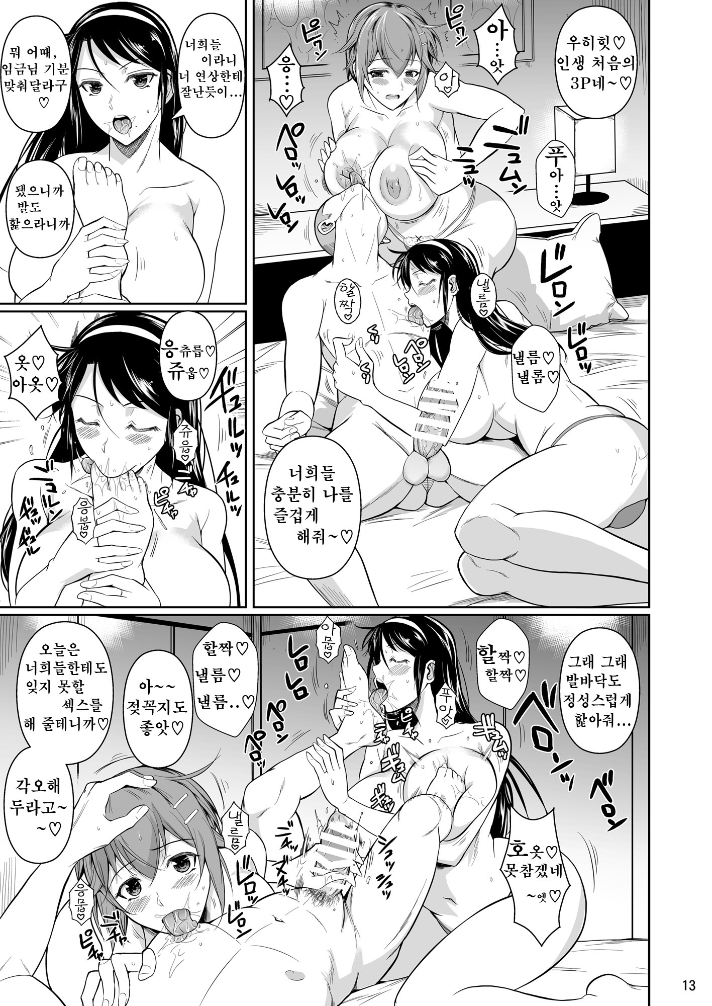 冬中花踪| 동충화초シリーズ