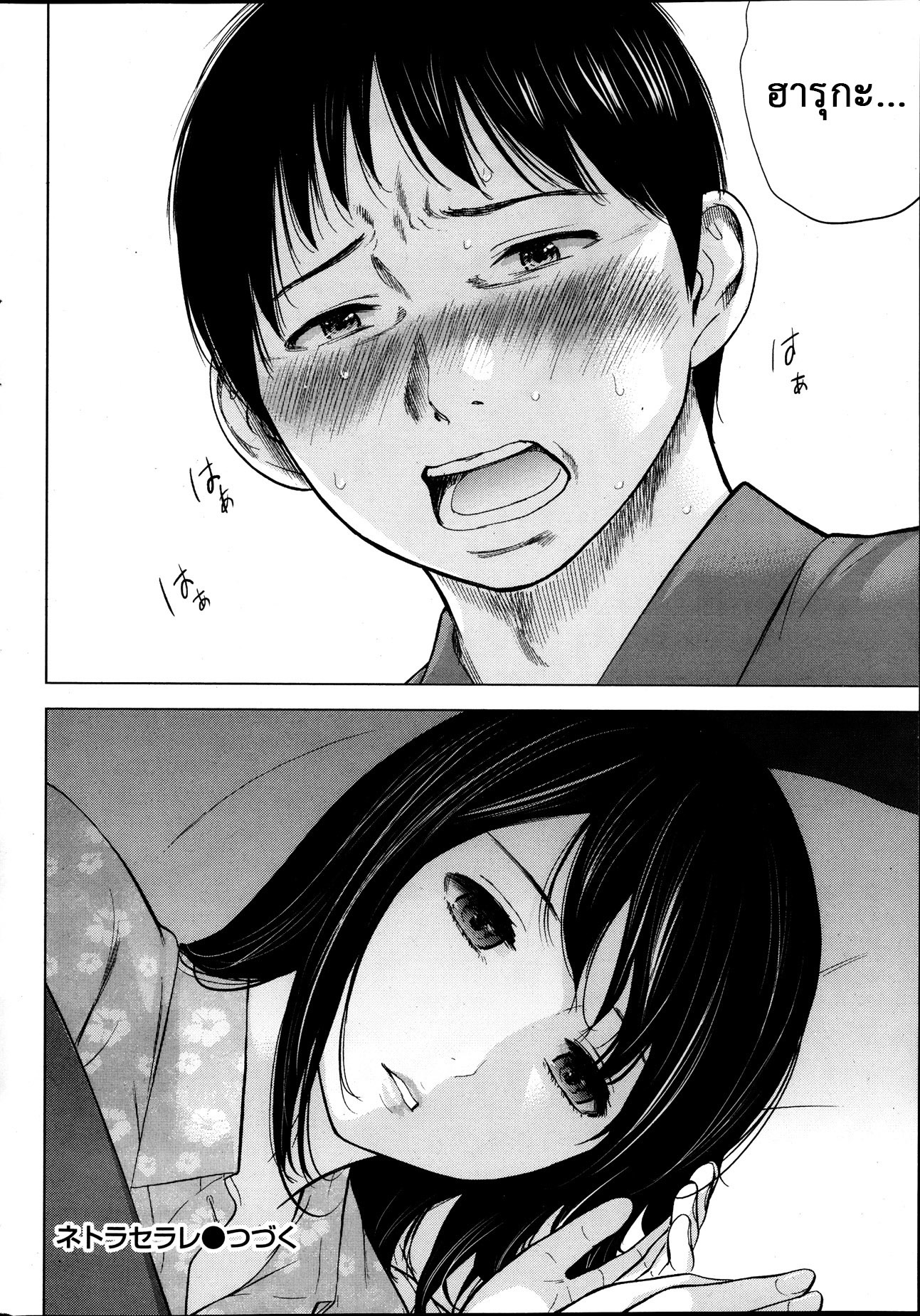 ネトラセラレVol.1-3