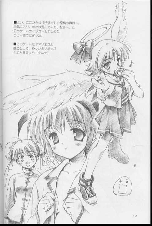 いろいろ。やけくそうぼん