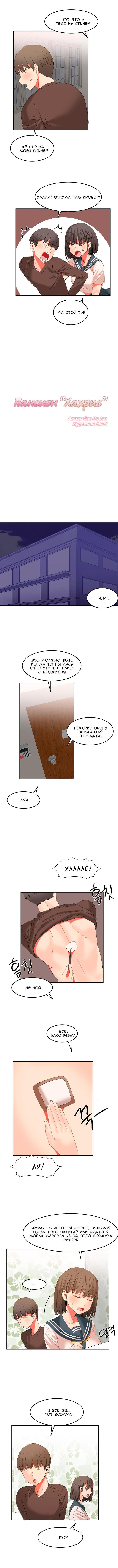 ハリのゴツゴツしたボードハウスCh。 0-23