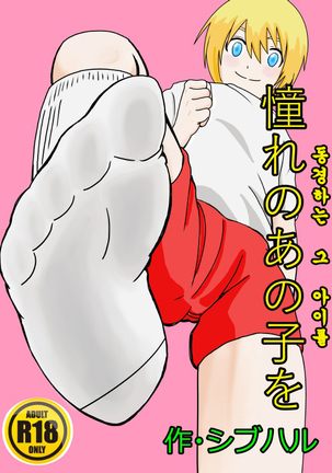 あこがれのあのこお