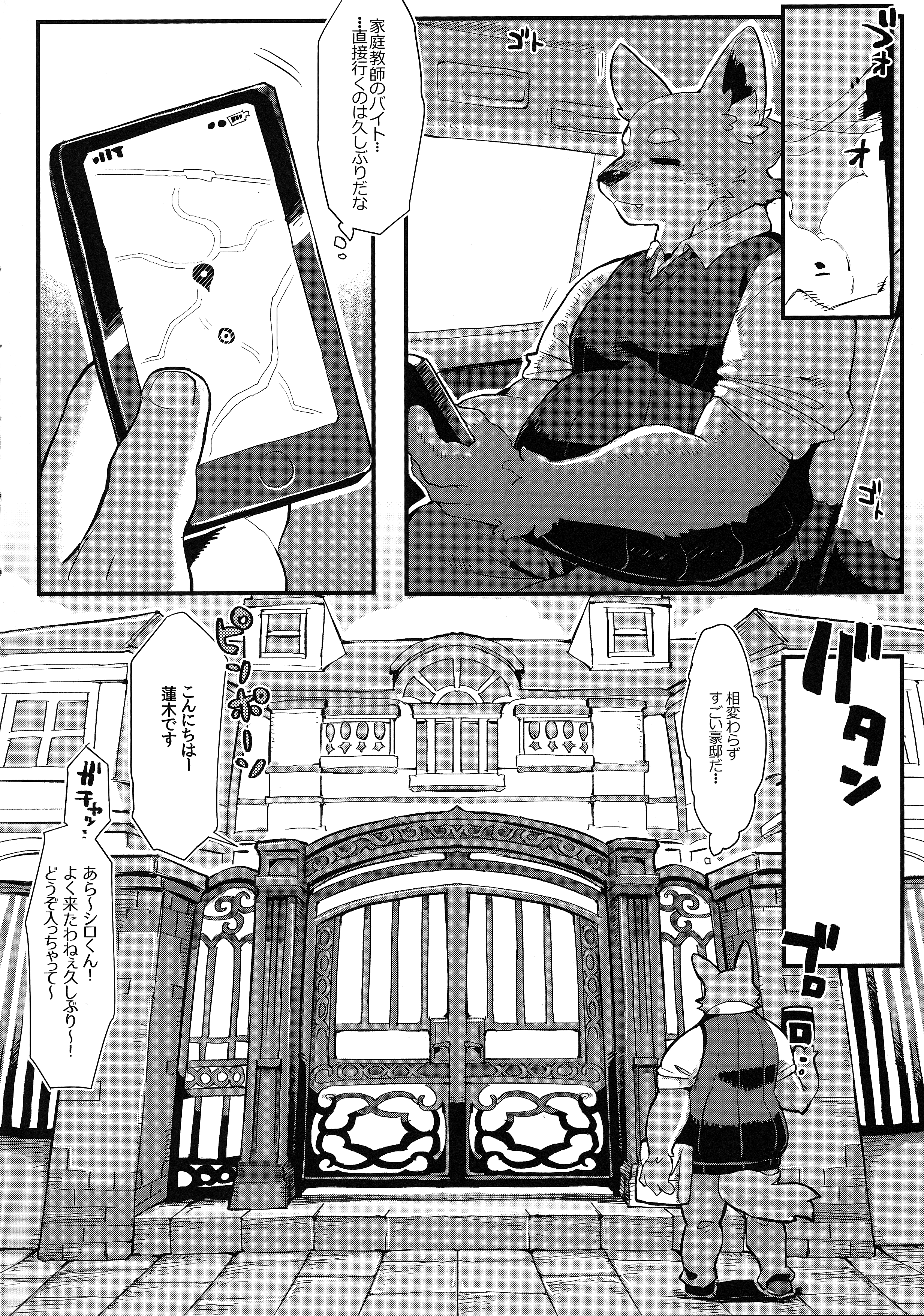 五光はおしまい