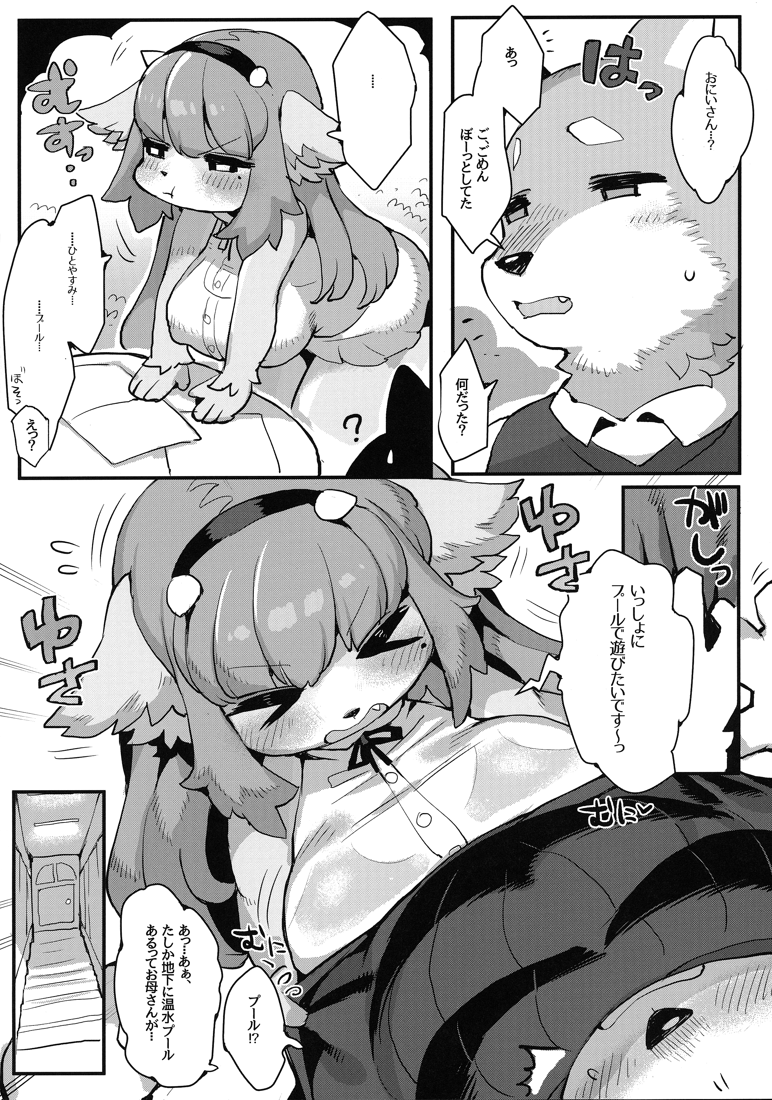 五光はおしまい