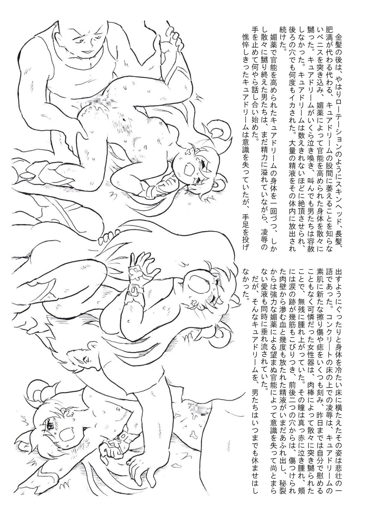 [丁字屋残党 (松本けんじ)] 滅しゆく希望の光 (Yes! プリキュア5)