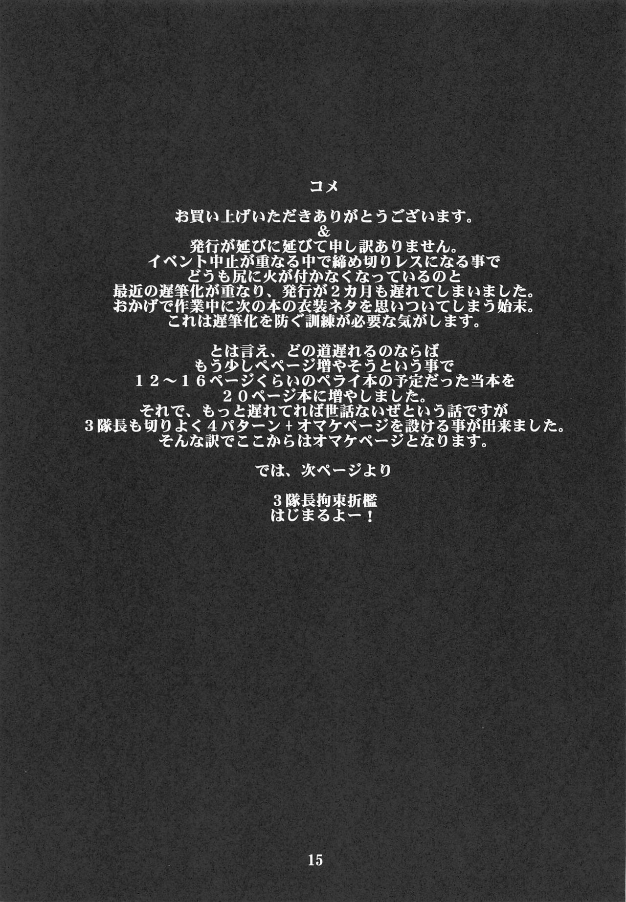 [BOBCATERS (波紋愛)] 3隊長拘束調教2 (魔法少女リリカルなのは)