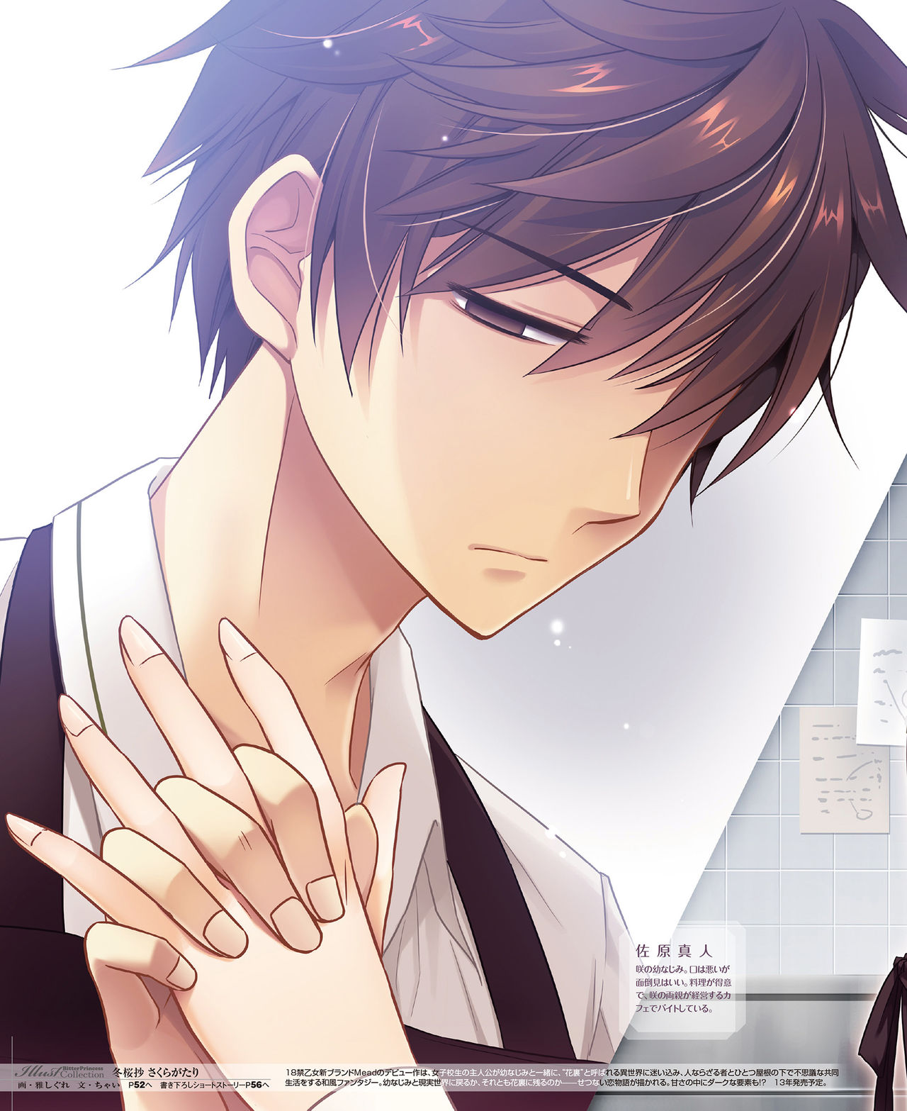 BitterPrincess Vol.2 [DL版]