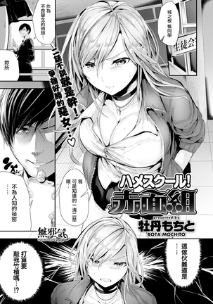 サドルスクールブラッシュグループ（非検閲）