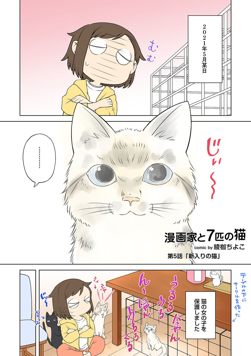 アナンガ・ランガ Vol. 73