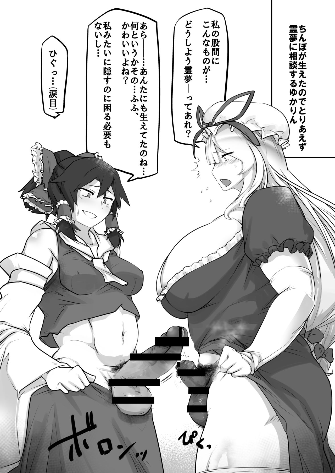 [galaxy gales(破壊大帝)] ゆかりんにいろいろする本(東方Project)[DL版]