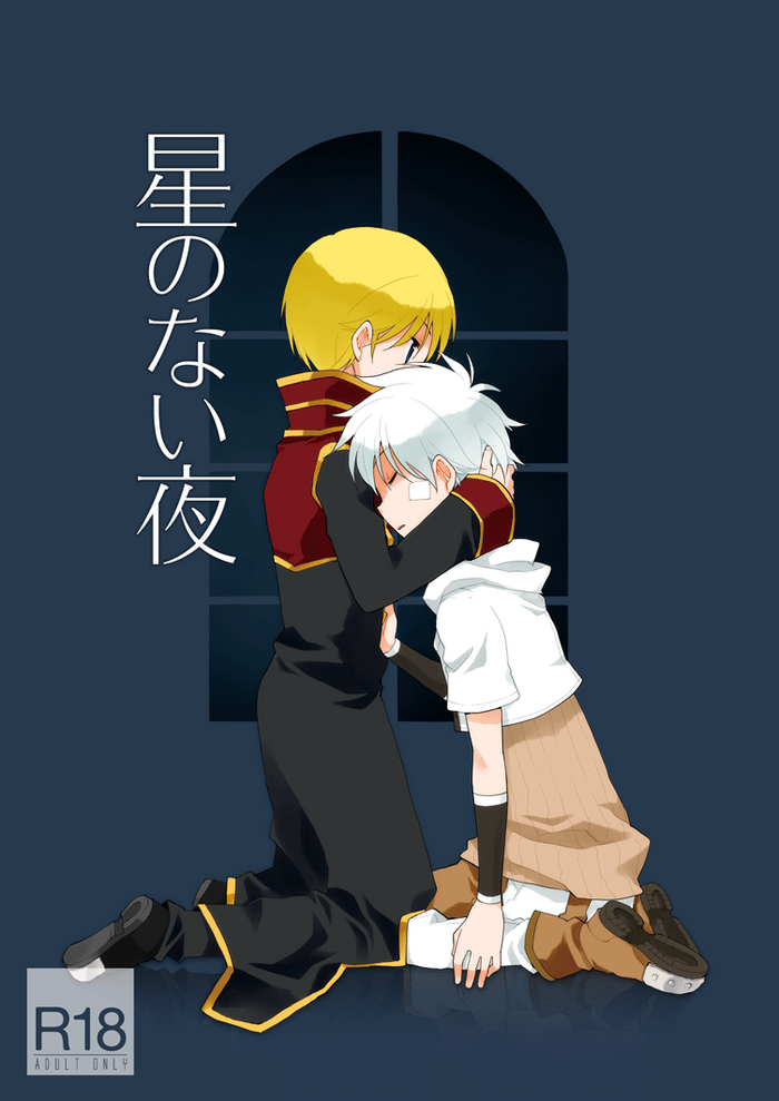 [coyote hunt (かの)] 星のない夜 (ラグナロクオンライン) [DL版]