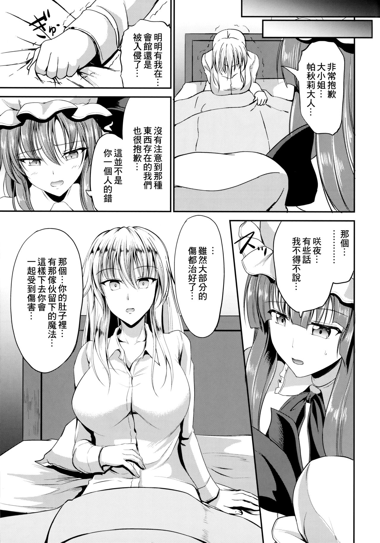 (C90) [らふれしあ (キャンベル議長)] 侵入者 (東方Project) [中国翻訳]