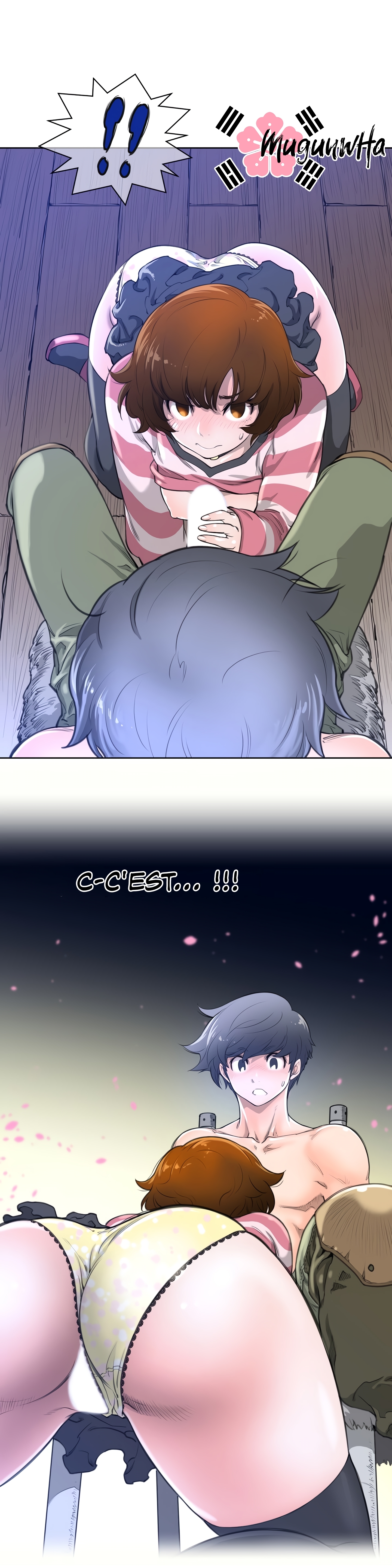 パーフェクトハーフ1à5