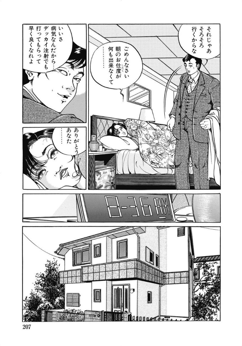 [アンソロジー] お色気人妻ヤリヤリ日記 [DL版]