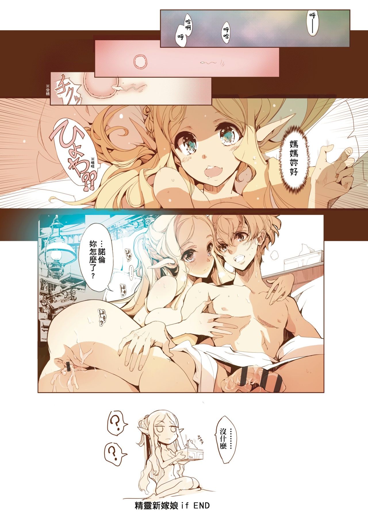 [袁藤沖人] エルフの嫁入り 精靈新嫁娘 [黑条修正][单行本][未来数位中文]