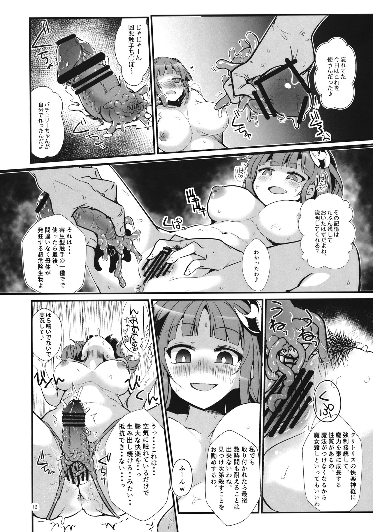(紅楼夢15) [なまやけ。 (ハリー)] サイミンリョウジョクモノ (東方Project)