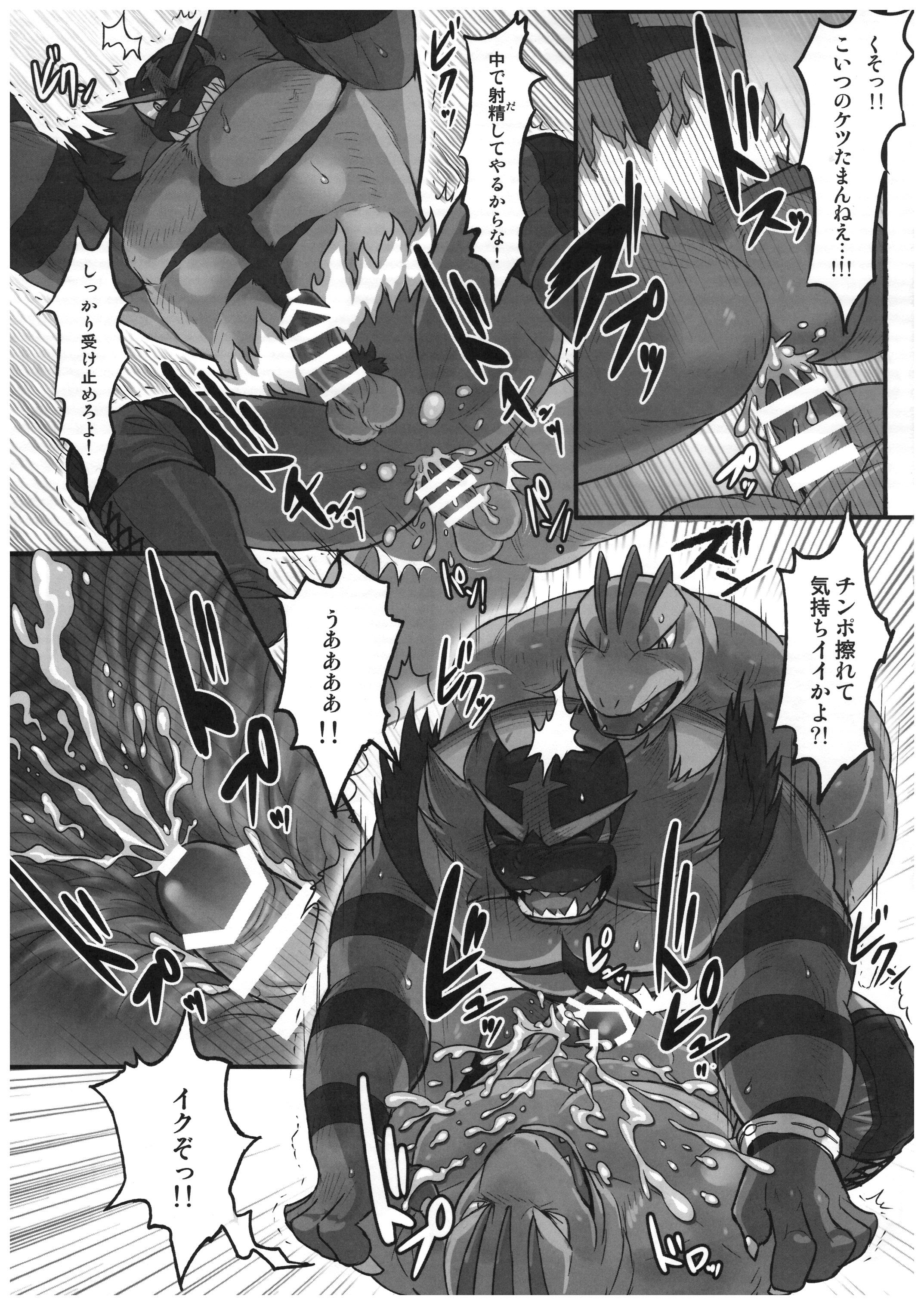 ガオガエン同人