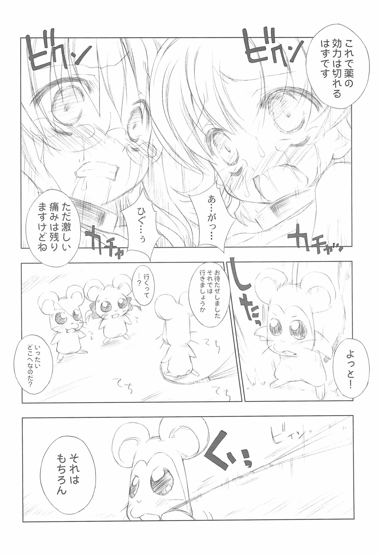 (C73) [ふらいぱん大魔王 (提灯暗光)] BATTLE FOR THE PLANET OF THE HAMS (とっとこハム太郎)