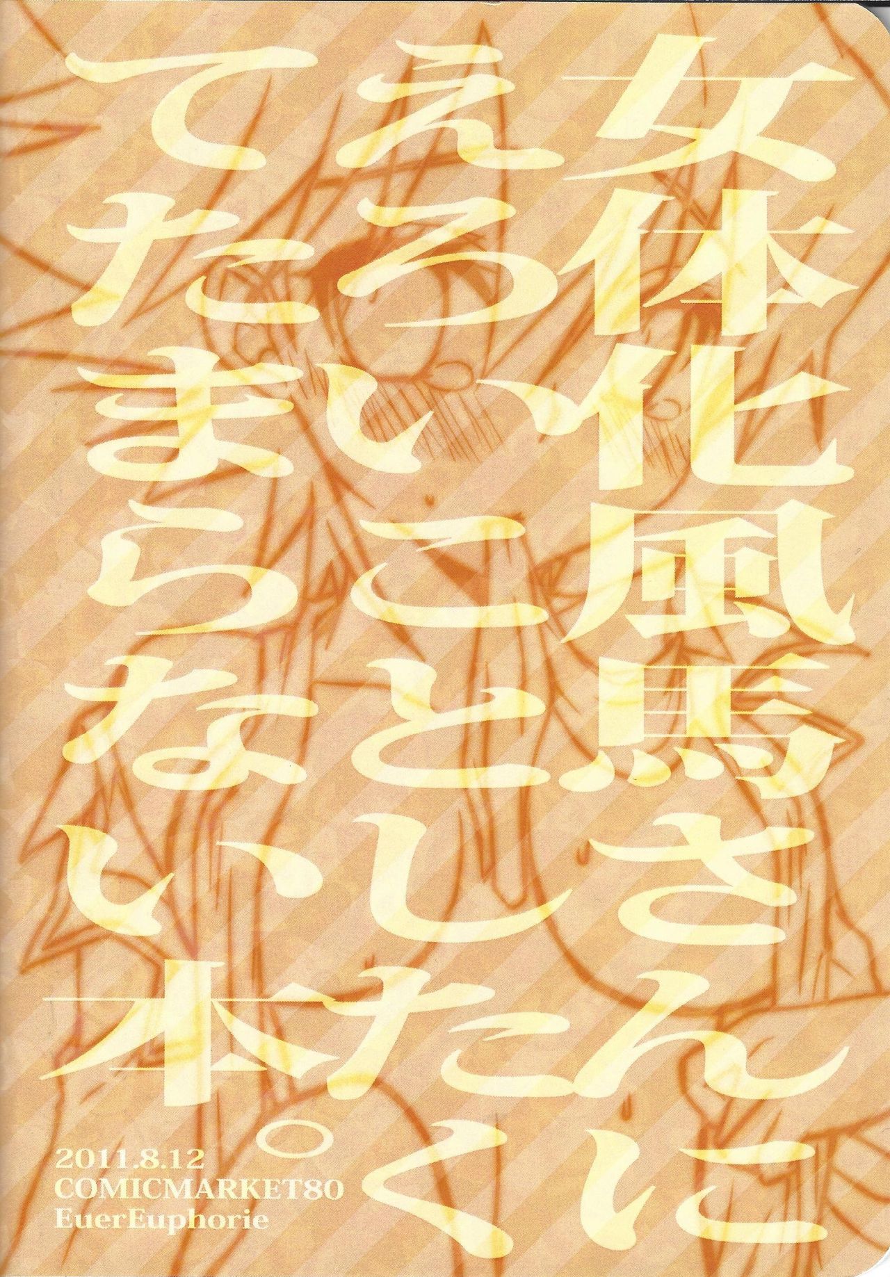 (C80) [EuerEuhporie (仲村藍葉)] 女体化風馬さんにえろいことしたい本。 (遊☆戯☆王5D's)