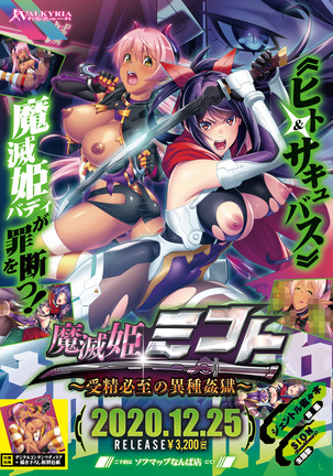 鳴花ヒメミコト〜必至必至の石観国〜