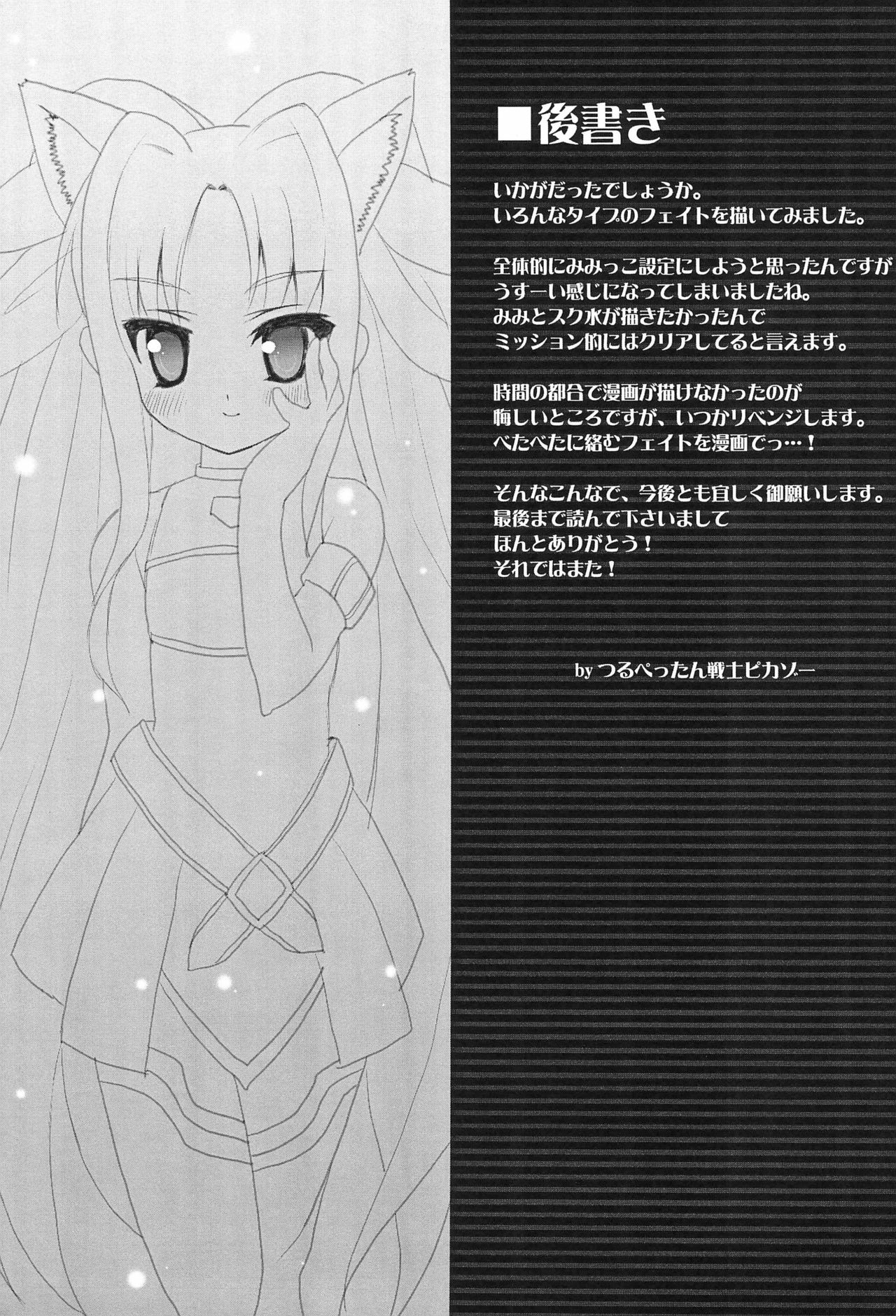 (みみけっと19) [P-POINT (Pikazo)] FATE STRIKE (魔法少女リリカルなのは)