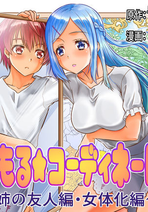 メタモールコーディネイト2〜あねのゆうじん編にょいたいか編〜